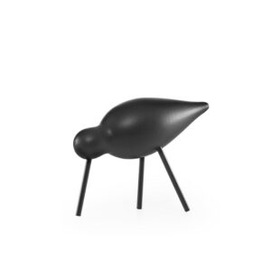 Shorebird black